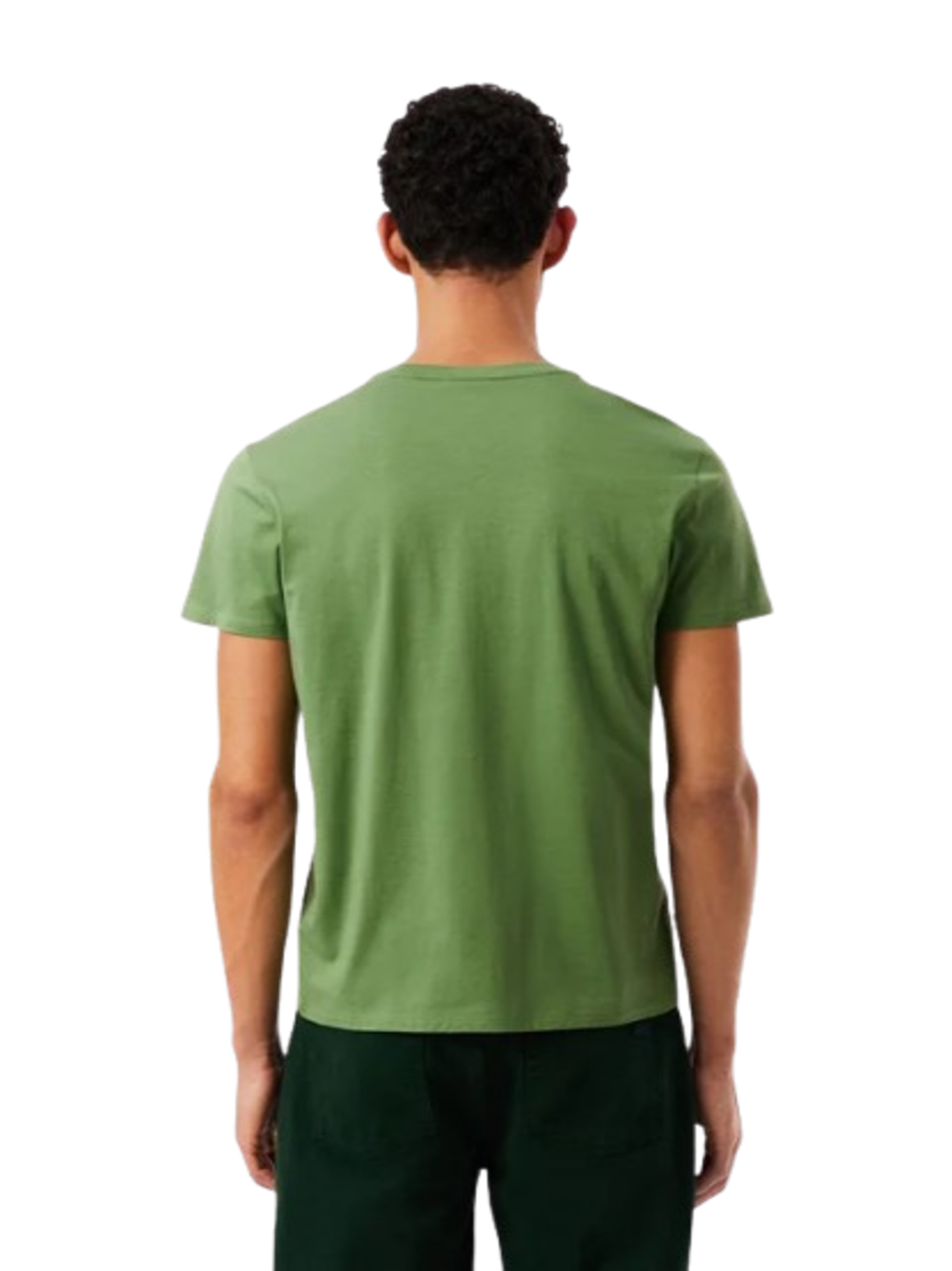 Lacoste T-shirt Uomo Mod. TH6709 PIMA 02M Verde