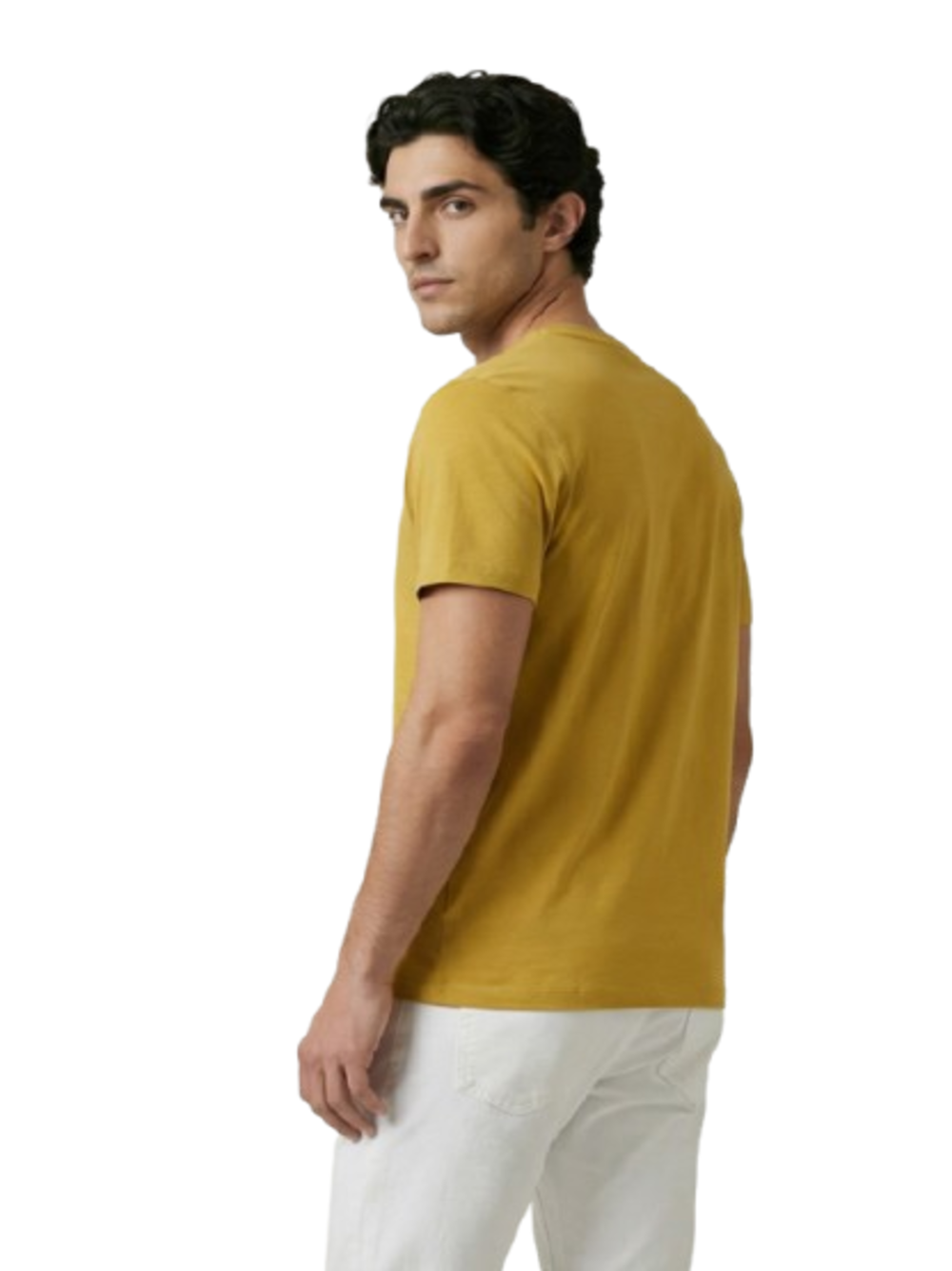 U.S. Polo Asssn. T-shirt Uomo Mod. 154015 148 214 Ocra