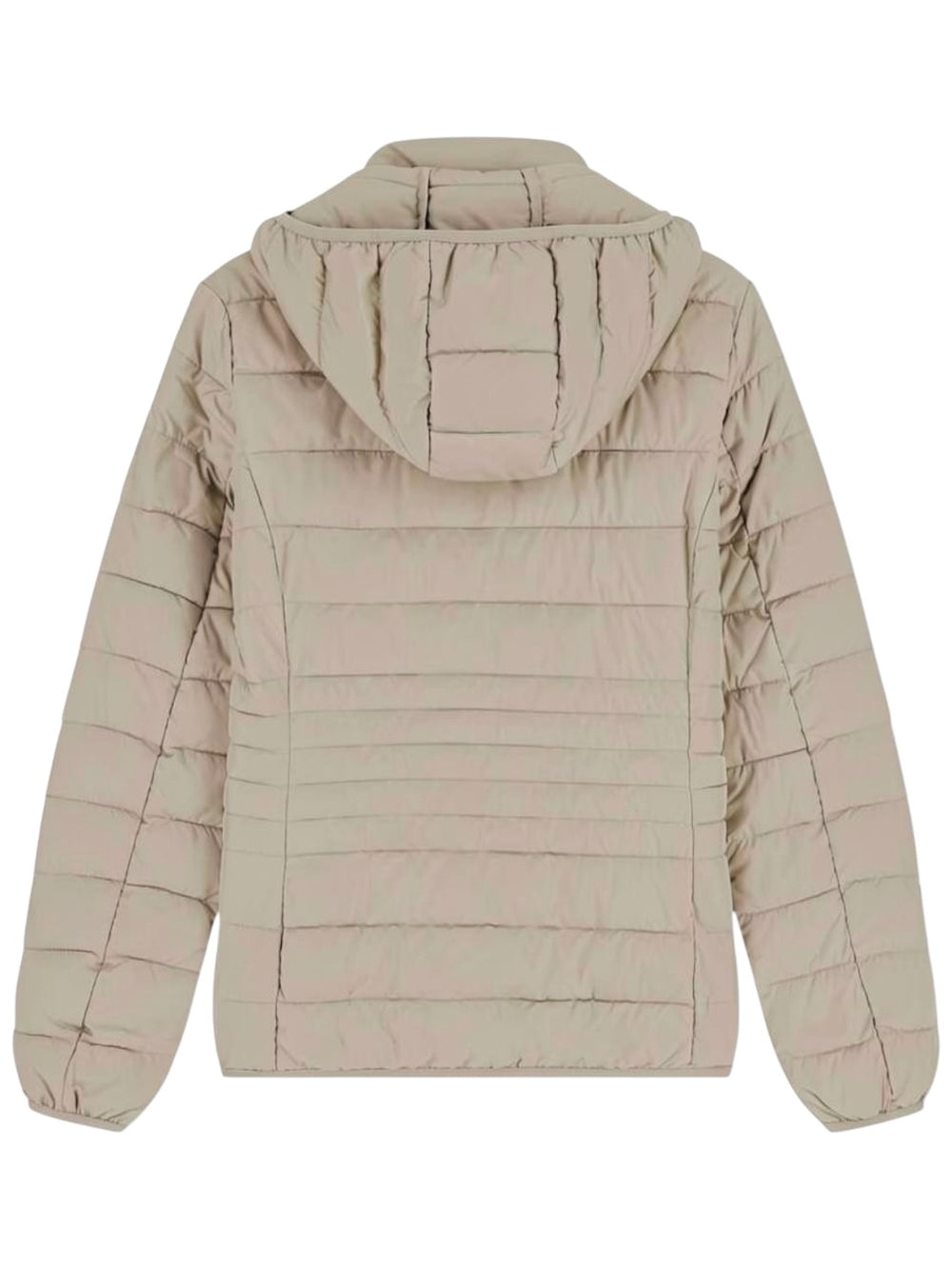 Ea7 Emporio Armani Giubbotto corto Donna Mod. 8NTB23 TNF8Z U6100 Tortora