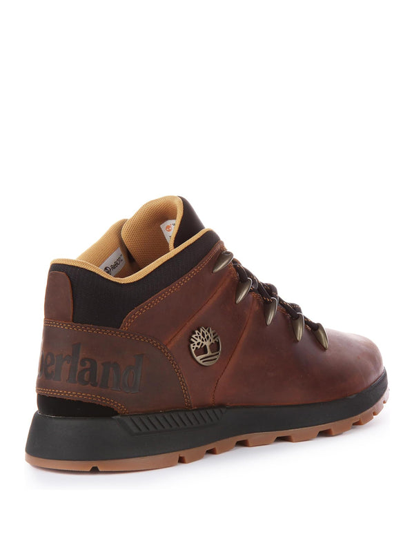 Timberland Sneakers Uomo Mod. TB0A67TG 9431 Marrone